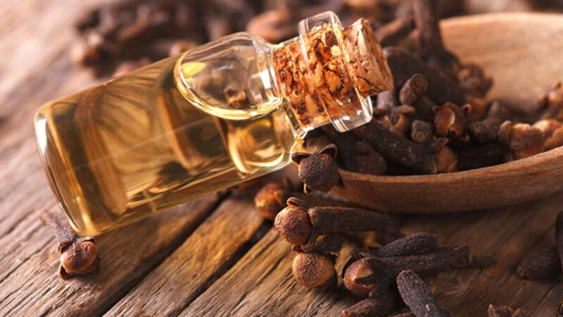 Laung Benefits - How Does Clove Improve Your Health