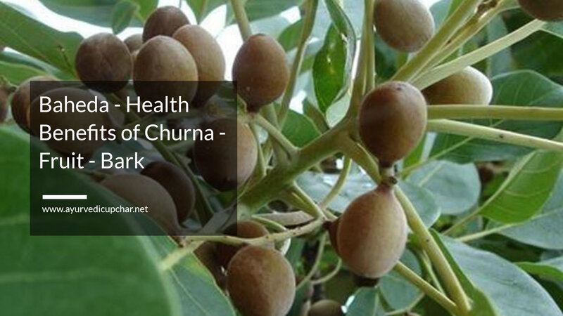 Baheda (Terminalia bellirica) Health Benefits Of Churna, Fruit, Bark