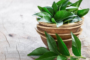 How To Use Curry Leaves For Weight- Loss