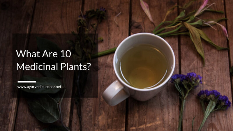 What Are 10 Medicinal Plants