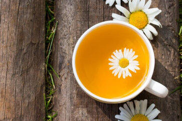 Chamomile Tea - Its Properties, Benefits and-Uses