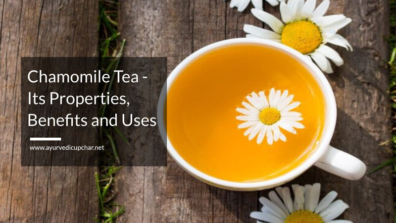 Chamomile Tea - Its Properties, Benefits and Uses