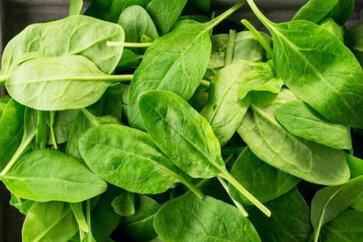 What Are The Health Benefits Of Spinach-Leaves