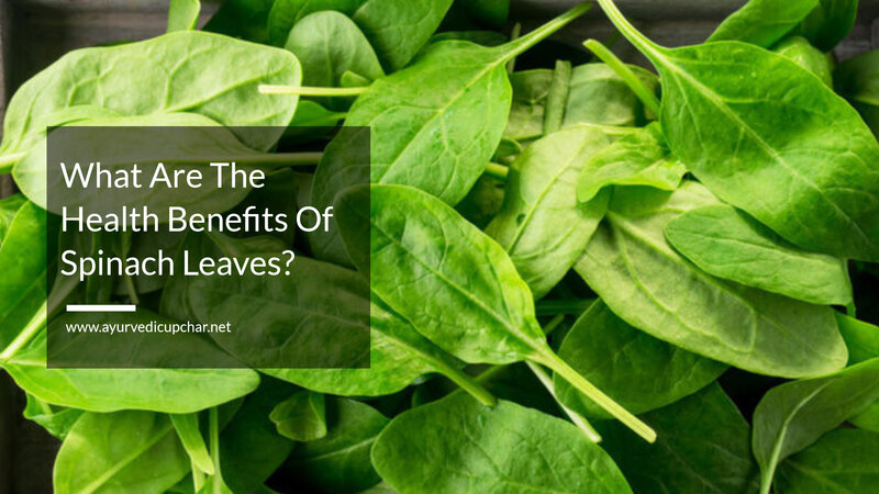 What Are The Health Benefits Of Spinach Leaves