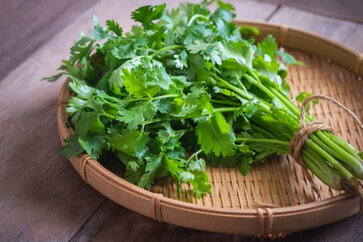 10 Surprising Health Benefits of (Dhaniya)-Coriander