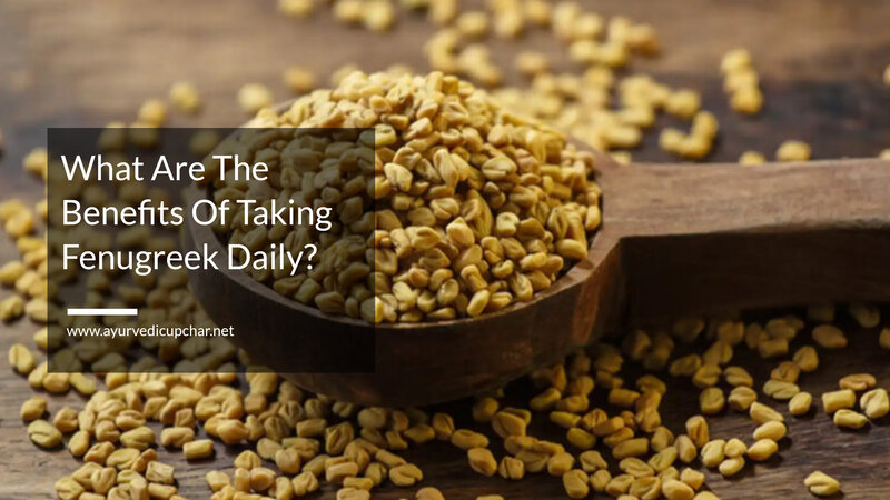 What Are The Benefits Of Taking Fenugreek Daily