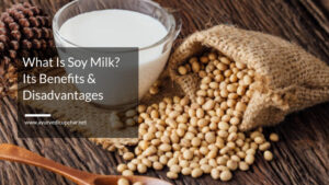 disadvantages of soy milk for males